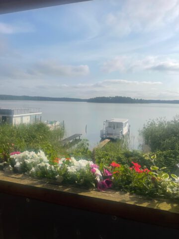 Ferienwohnung "Seeblick" - Seeblick vom Balkon