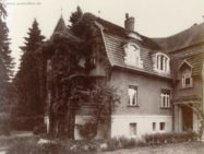 artikel_historisch_1950