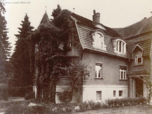 artikel_historisch_1950