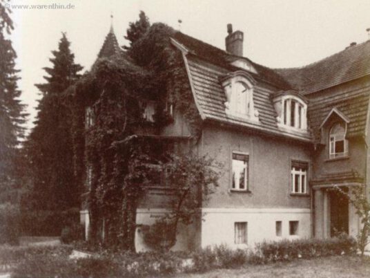 artikel_historisch_1950