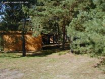 Bungalows auf dem Waldgrundstück
