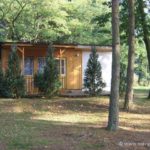 Bungalow in schattiger Lage auf dem Waldgrundstück