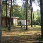 Ferienhäuser in schattiger Lage bei der Bungalowvermietung "Am Rheinsberger See"