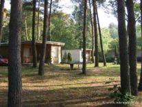 Ferienhäuser in schattiger Lage