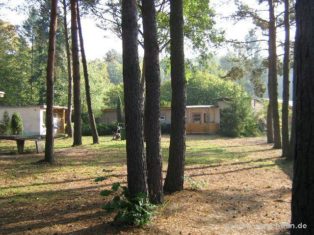 Waldgrundstück der Bungalowvermietung