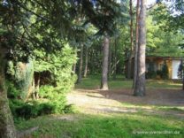 Erholung im Wald