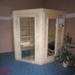 Sauna- und Duschbereich
