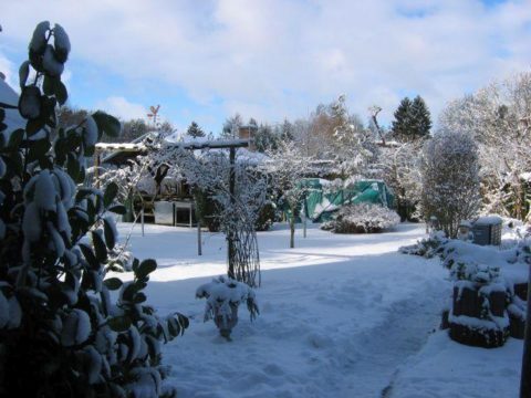 Winterliche Ruhe liegt über Rheinsberg - Warenthin